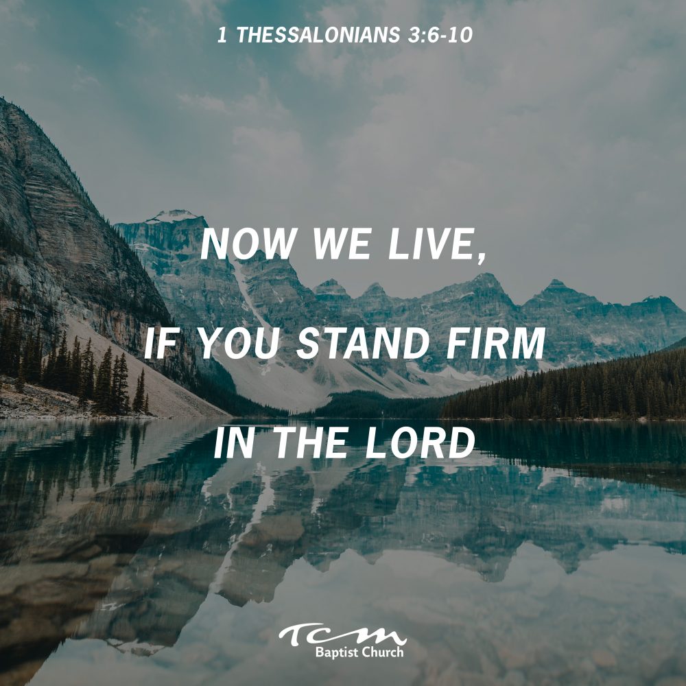 Now We Live, If You Stand Firm In the Lord Image